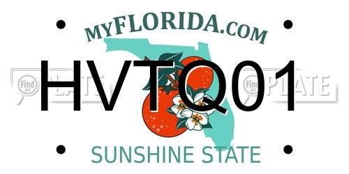 HVTQ01 Florida License Plate