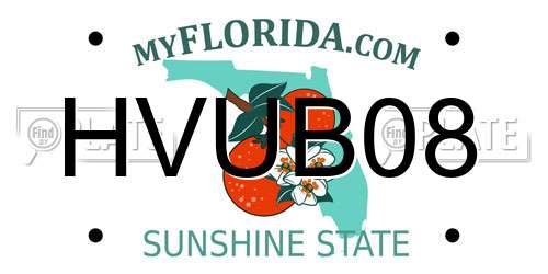 HVUB08 Florida License Plate