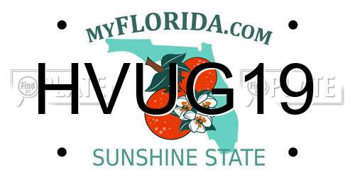 HVUG19 Florida License Plate