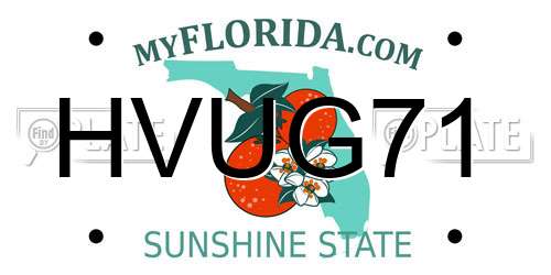 HVUG71 Florida License Plate