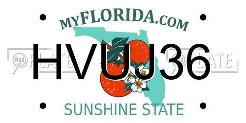 HVUJ36 Florida License Plate