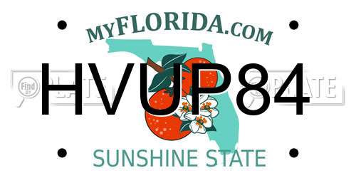 HVUP84 Florida License Plate