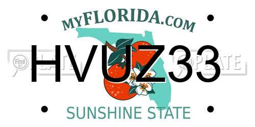 HVUZ33 Florida License Plate