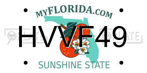 HVVF49 Florida License Plate