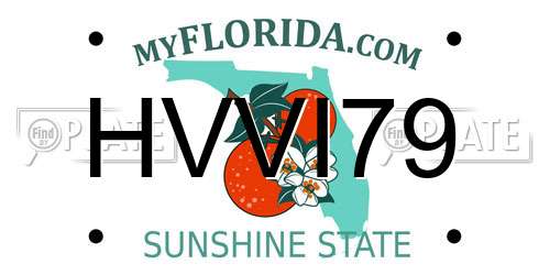 HVVI79 Florida License Plate