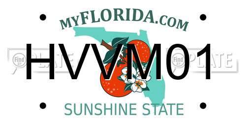 HVVM01 Florida License Plate