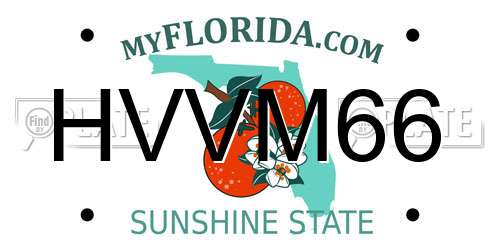 HVVM66 Florida License Plate
