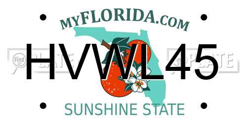 HVWL45 Florida License Plate