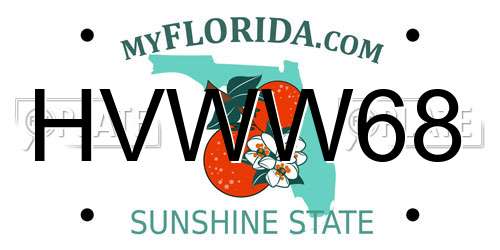 HVWW68 Florida License Plate