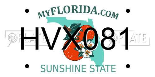 HVX081 Florida License Plate