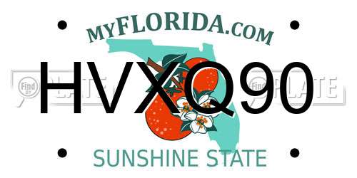 HVXQ90 Florida License Plate