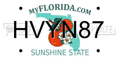 HVYN87 Florida License Plate