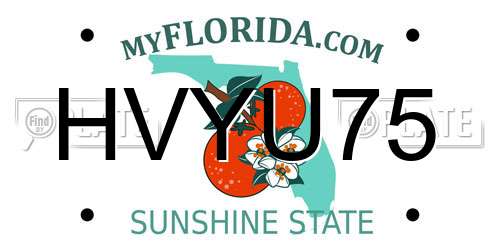 HVYU75 Florida License Plate