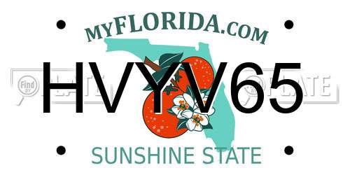HVYV65 Florida License Plate