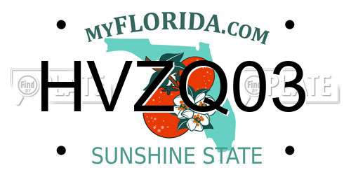 HVZQ03 Florida License Plate
