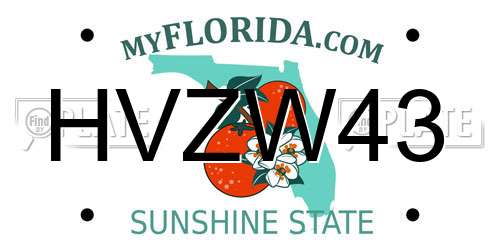 HVZW43 Florida License Plate