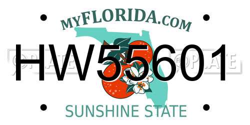 HW55601 Florida License Plate