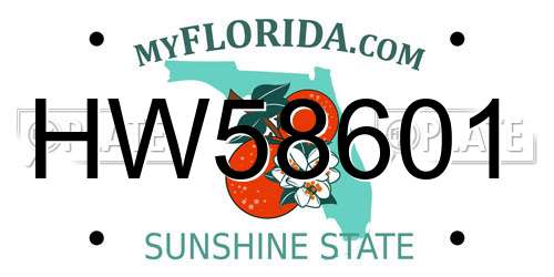 HW58601 Florida License Plate
