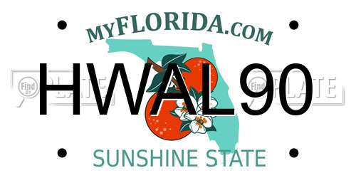 HWAL90 Florida License Plate