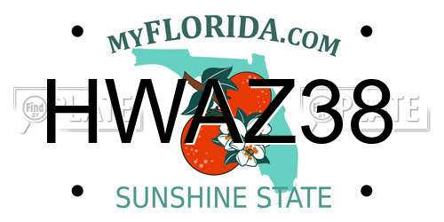 HWAZ38 Florida License Plate