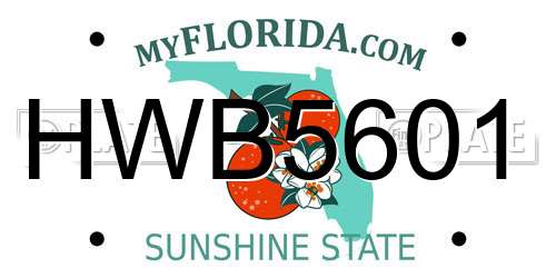 HWB5601 Florida License Plate