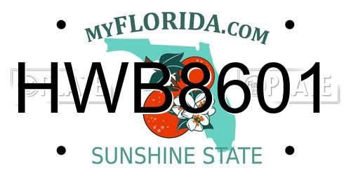HWB8601 Florida License Plate