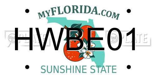 HWBE01 Florida License Plate
