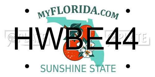 HWBE44 Florida License Plate