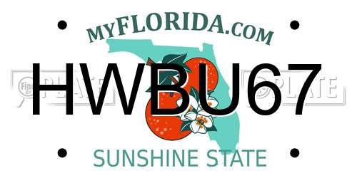 HWBU67 Florida License Plate