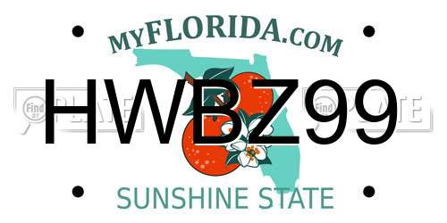 HWBZ99 Florida License Plate