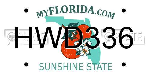 HWD336 Florida License Plate