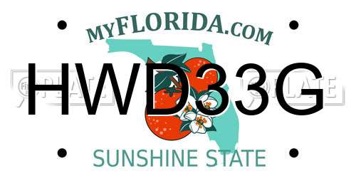 HWD33G Florida License Plate