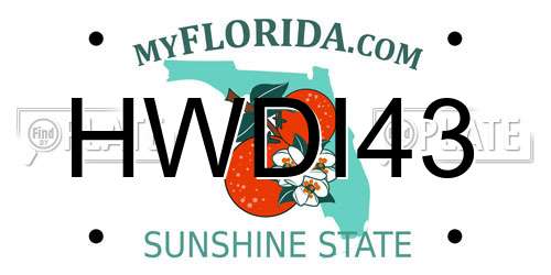 HWDI43 Florida License Plate
