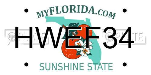HWEF34 Florida License Plate