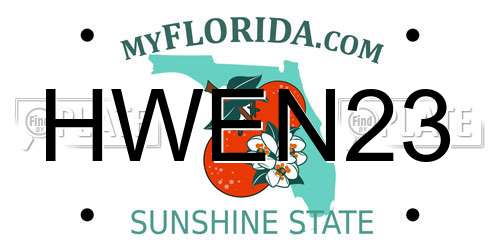 HWEN23 Florida License Plate