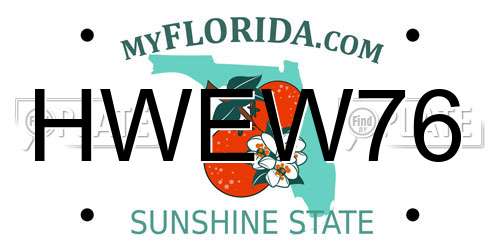 HWEW76 Florida License Plate