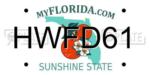 HWFD61 Florida License Plate