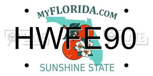 HWFE90 Florida License Plate