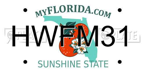 HWFM31 Florida License Plate