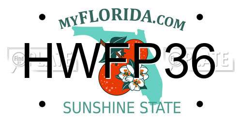 HWFP36 Florida License Plate