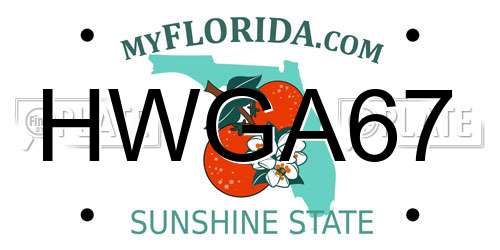 HWGA67 Florida License Plate