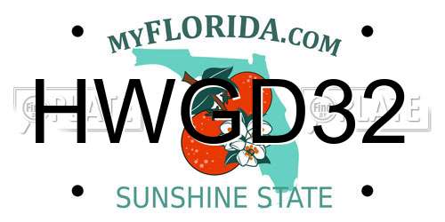 HWGD32 Florida License Plate