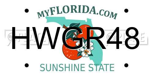 HWGR48 Florida License Plate