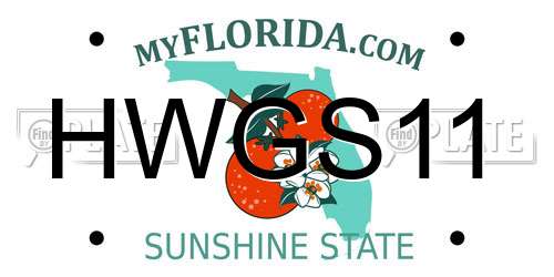 HWGS11 Florida License Plate