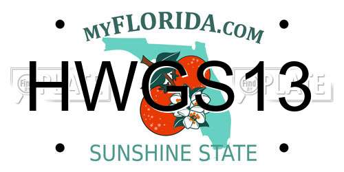 HWGS13 Florida License Plate