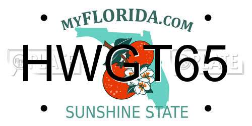 HWGT65 Florida License Plate