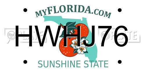 HWHJ76 Florida License Plate
