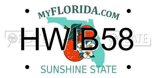 HWIB58 Florida License Plate