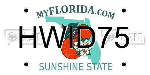 HWID75 Florida License Plate