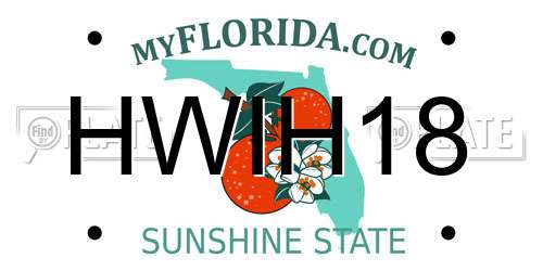 HWIH18 Florida License Plate